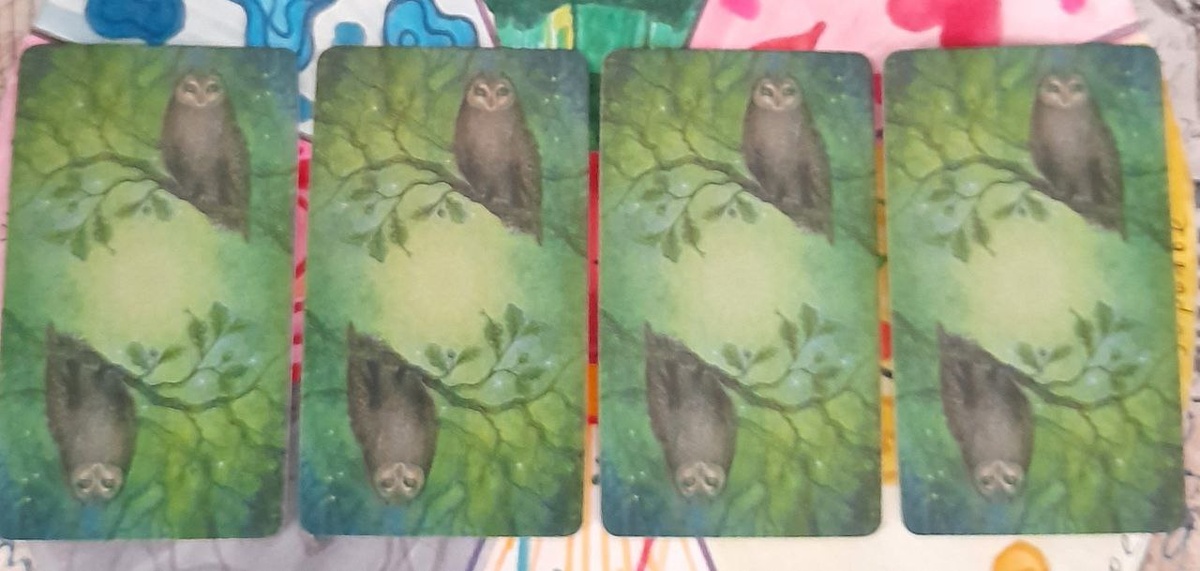 фото  автора 