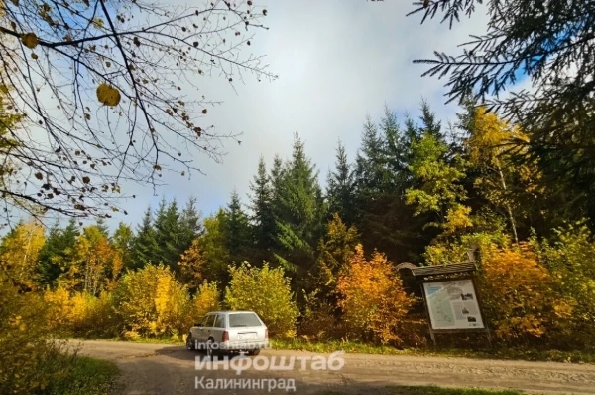    Настоящая сказка.