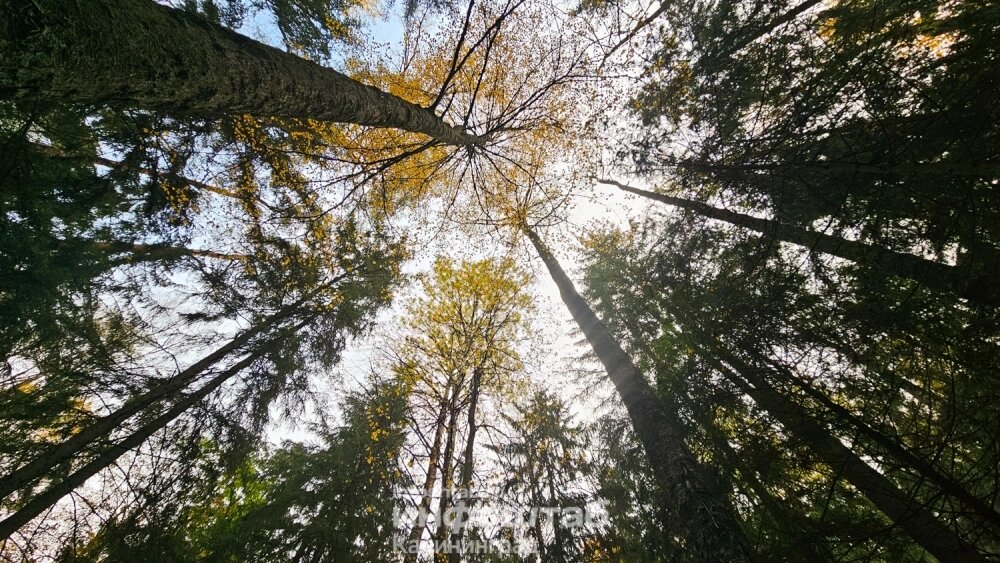    Фото: Объединённая редакция Инфоштаб/ Александр Алымов