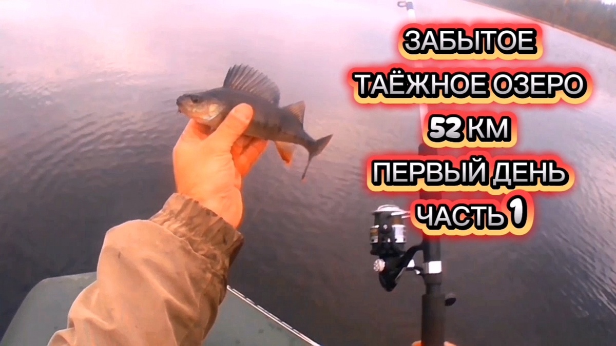 ПЕРВЫЙ ДЕНЬ . ЧАСТЬ 1. СМОТРИМ 👇