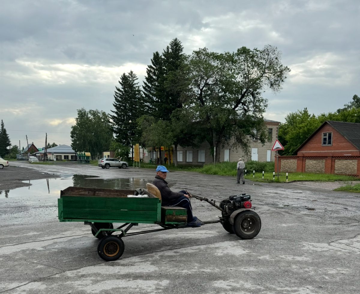 Поездка на рынок.