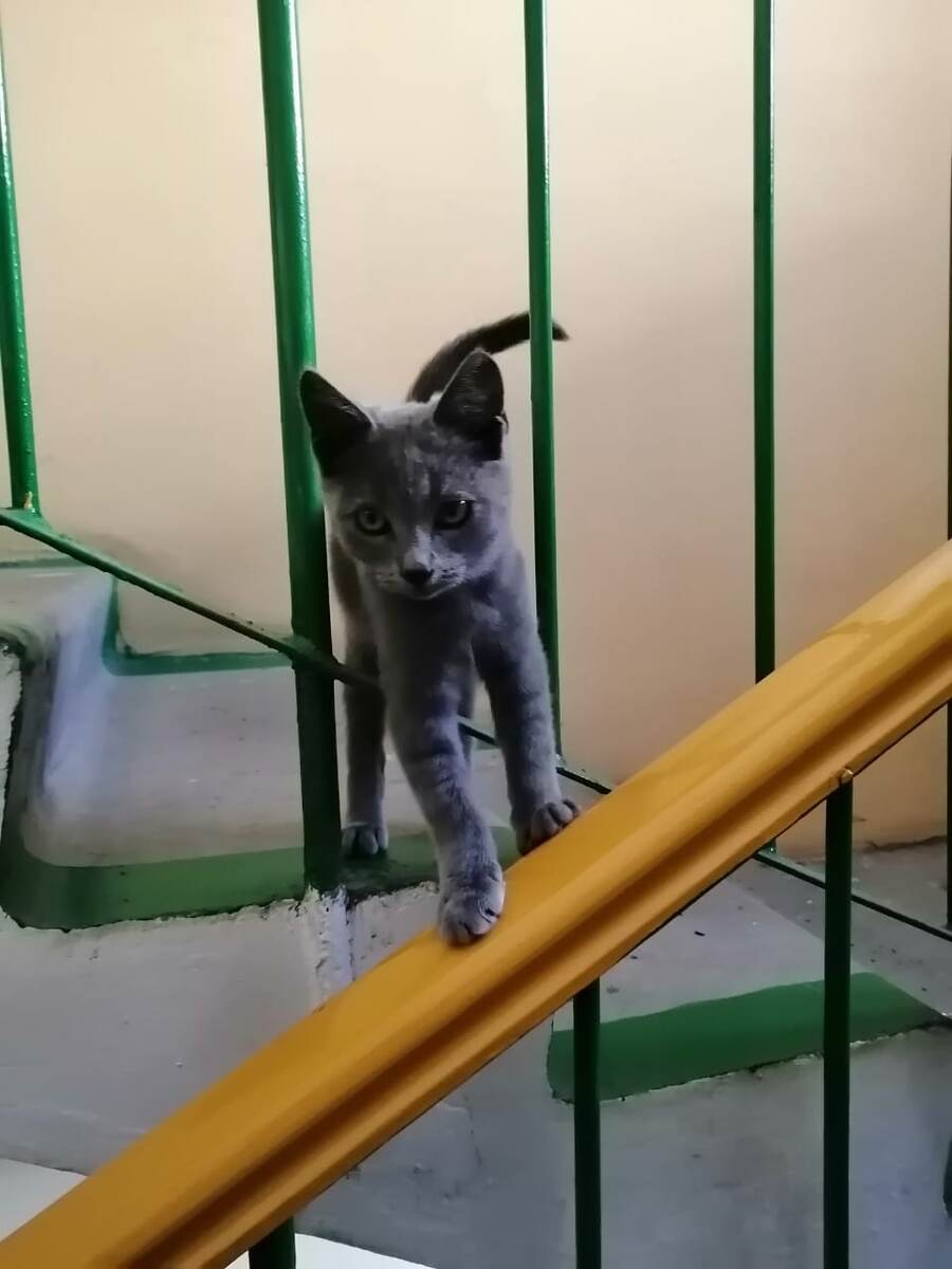 Фото автора.