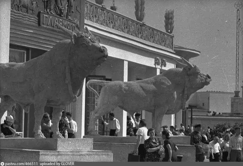 Скульптуры быков у главного входа в павильон "Главмясо", 1939. Автор фото: В. Микоша. С сайта www.pastvu.com.