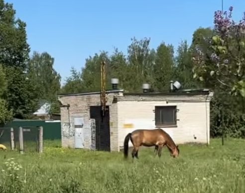    Фото: "Веселовские вести" Веселовские вести