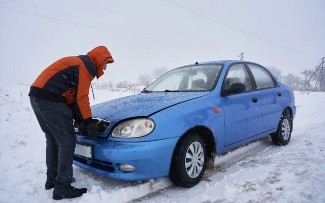 Фото: volodimir bazyuk / Shutterstock / FOTODOM