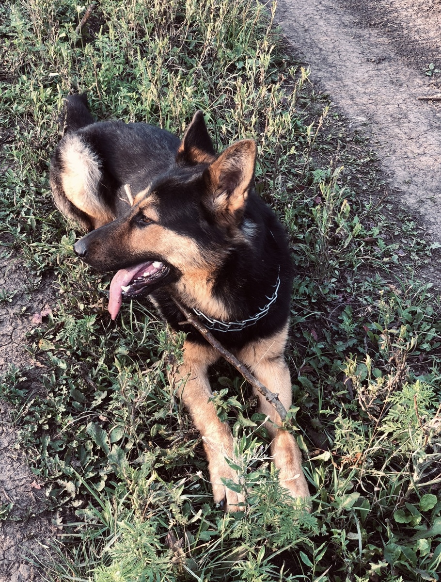 Фото из семейного альбома.