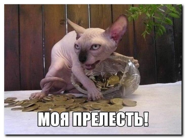 источник Яндекс-картинки