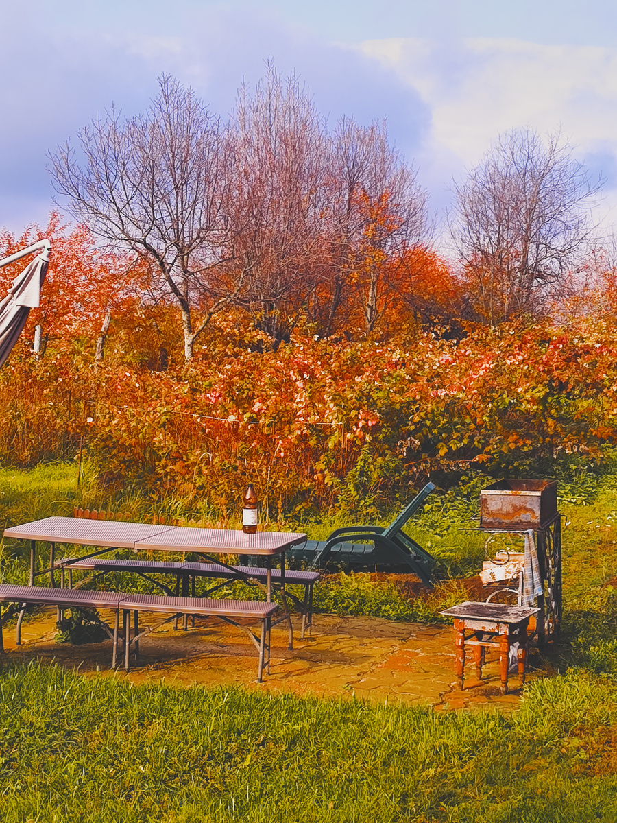 Глаз ярким краскам радуется! Фото автора