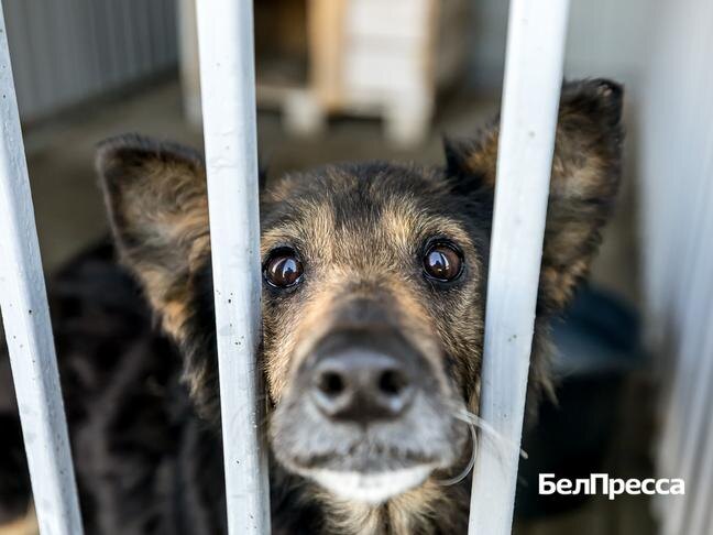 Фото: Павел Колядин