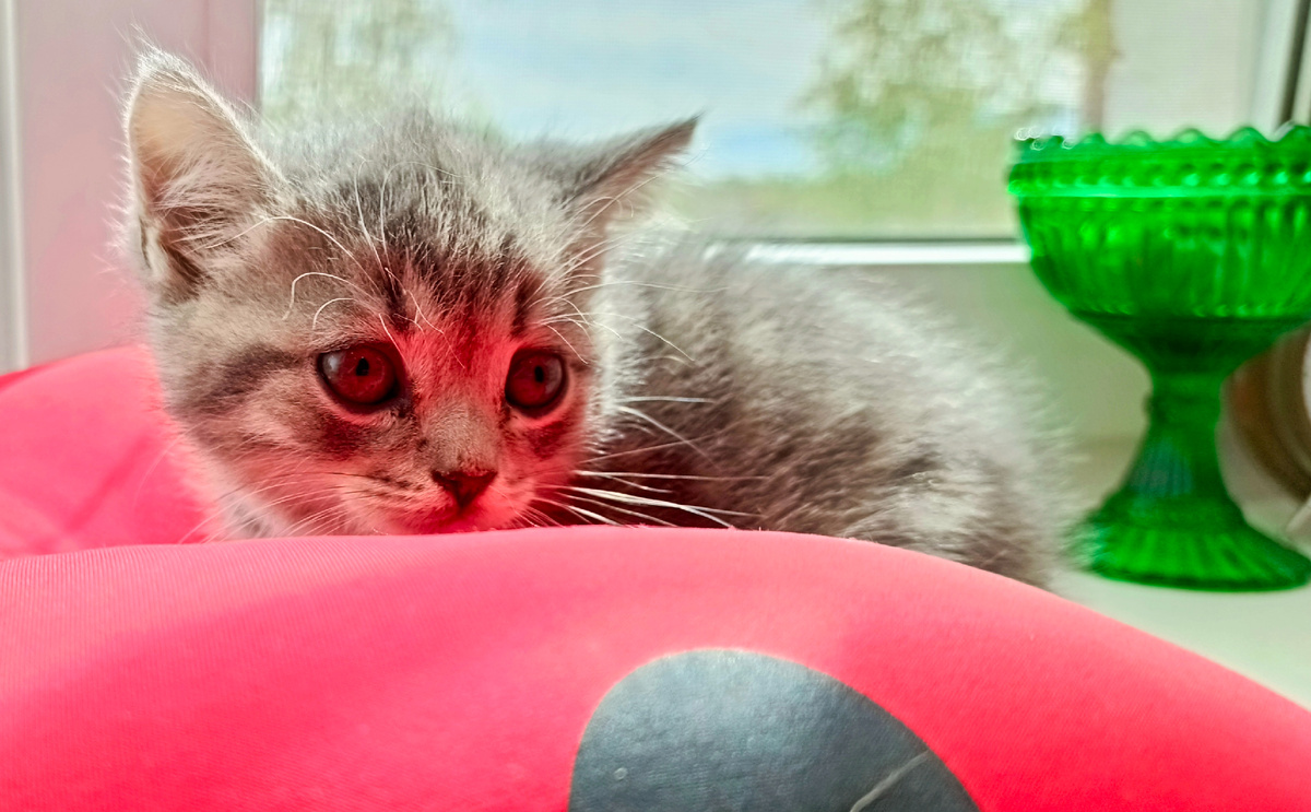 Фото из архива автора.