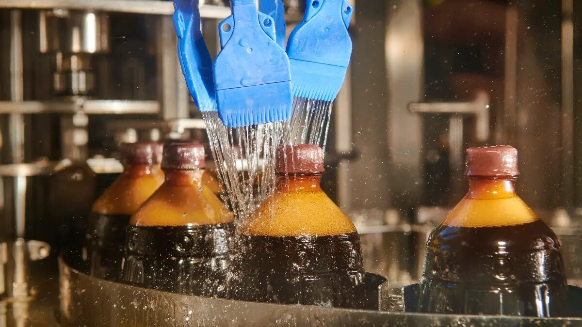    Фото: vm.ru Павел Евсеев