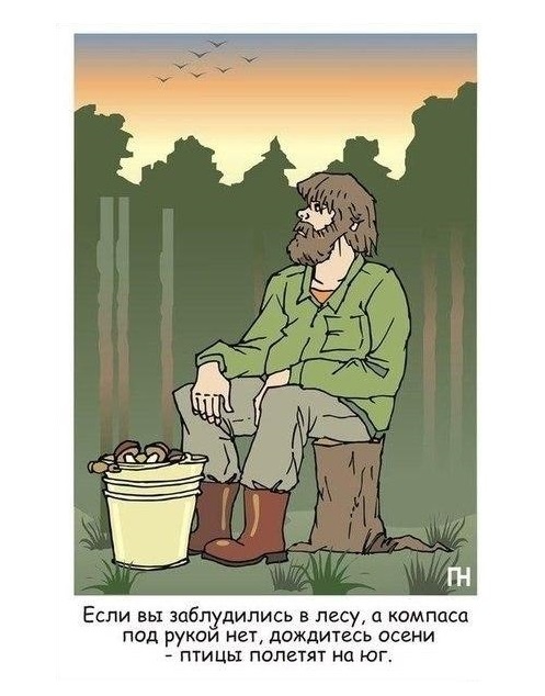 Яндекс картинки