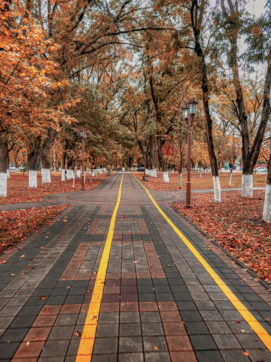 Осенняя аллея - 2025 год 