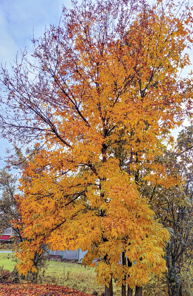 Краснодарский край осенью - 2025 год 