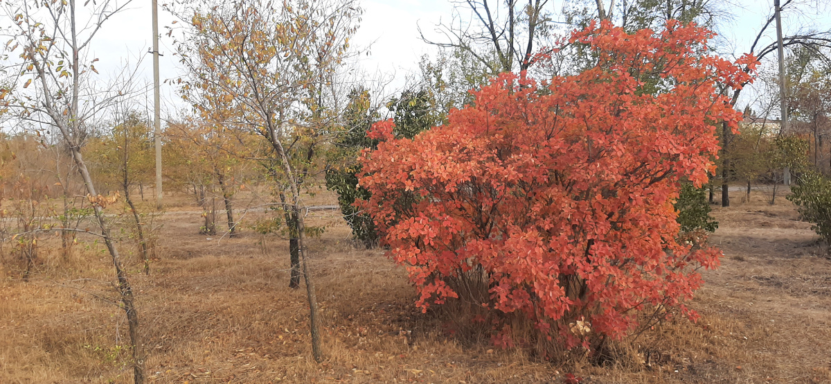 Волгорадские пейзажи.