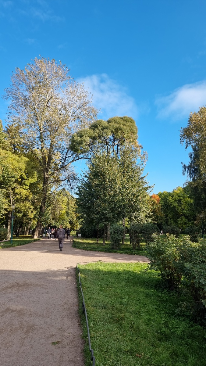 Таврический сад в Санкт-Петербурге 