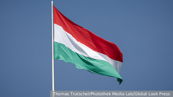     Фото: Thomas Trutschel/Photothek Media Lab/Global Look Press   
 Текст: Дмитрий Зубарев