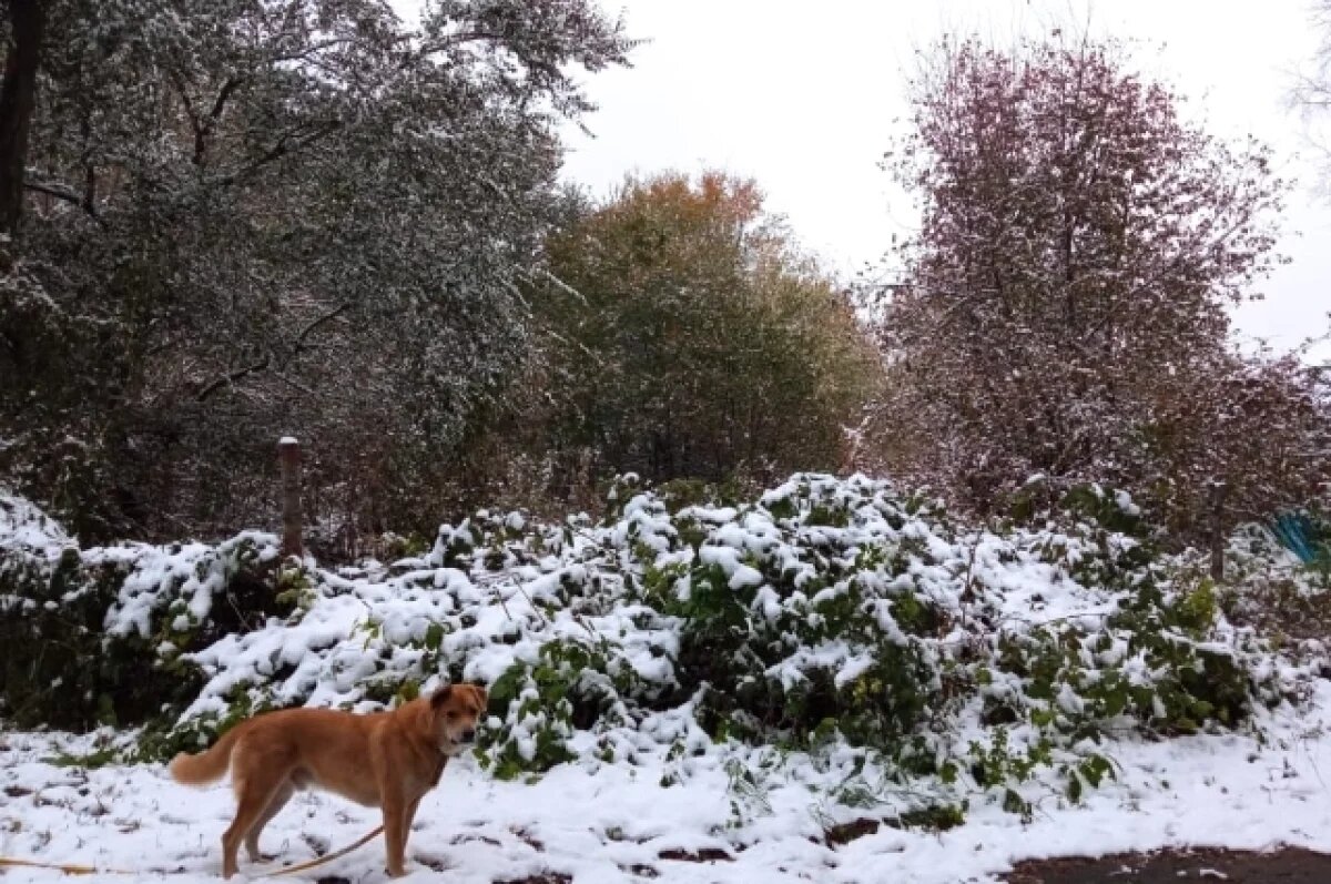    Прогноз погоды в Хабаровске на 19–25 октября