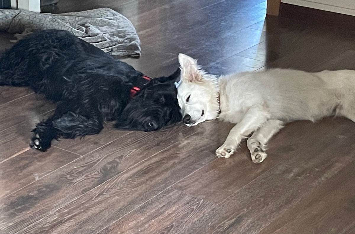 ...через год