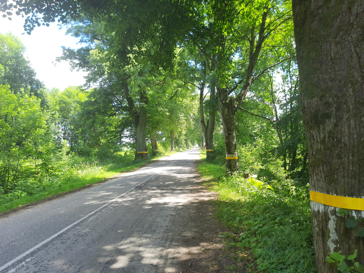 Дорога у посёлка Гремячье. Фото автора