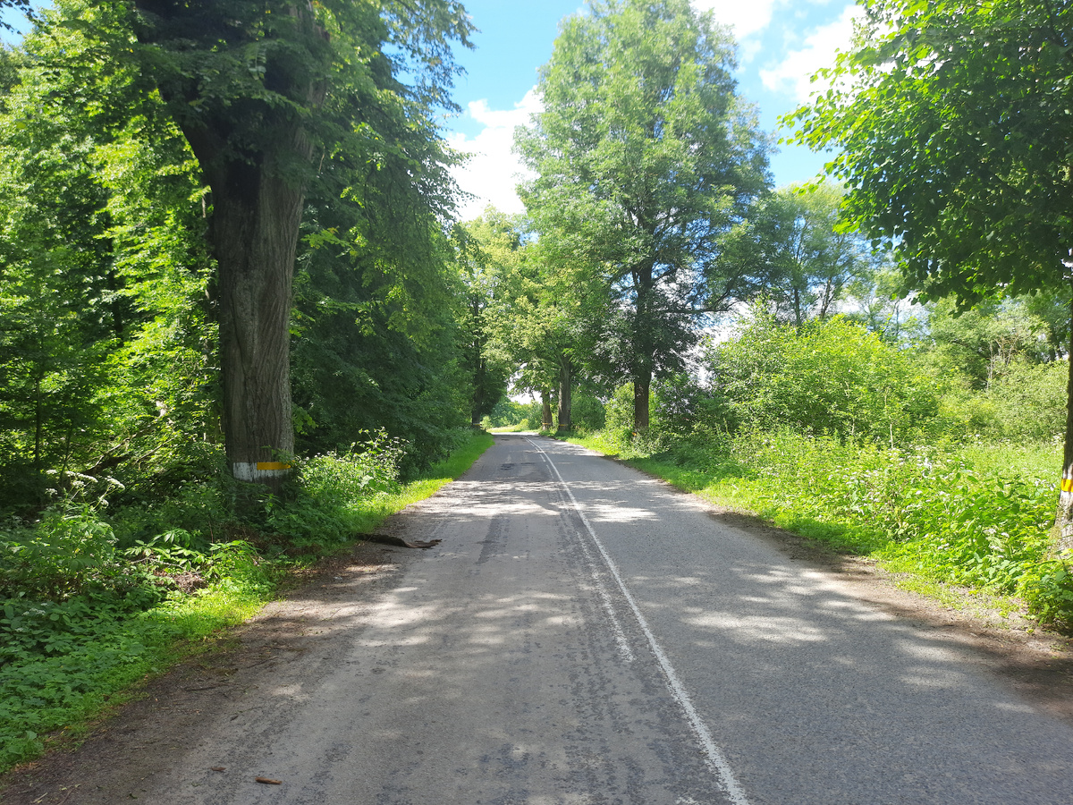 Дорога у посёлка Гремячье. Фото автора