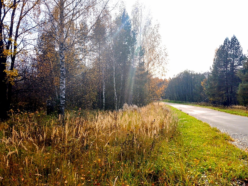 Ивановская область, вид с участка