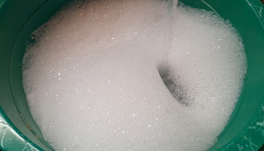 Вот так надо обработать теплицу в октябре от фитофторы и кладоспориоза: Проверенный план действий для садоводов. Фото автора