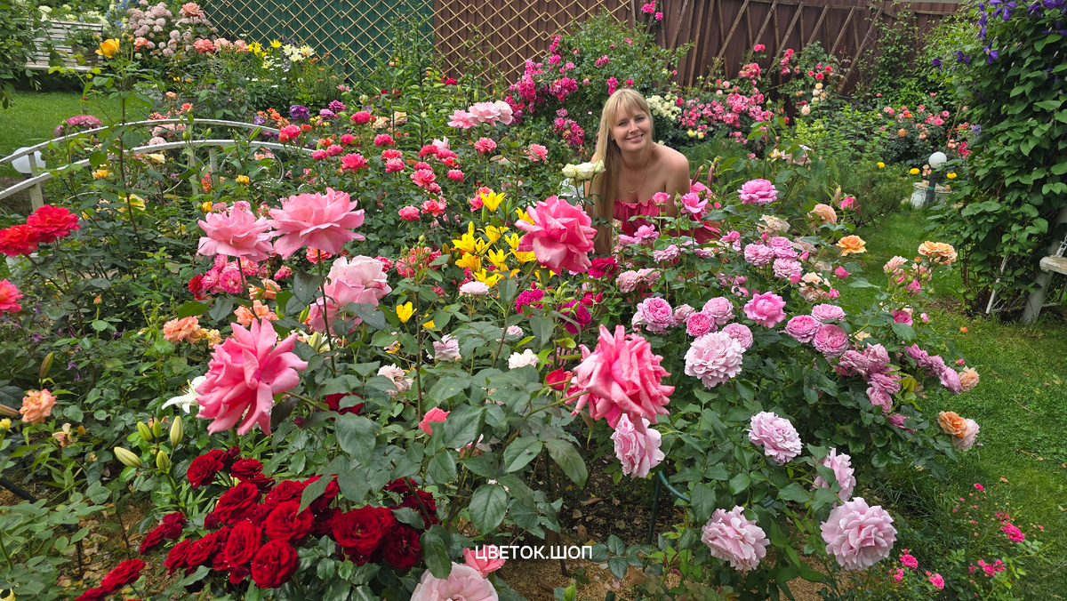 Клумба летом