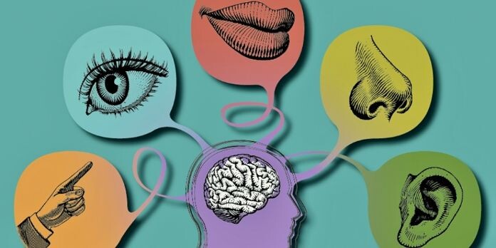 Источник изображения: https://i.pinimg.com/736x/b7/8b/4d/b78b4dfcc1a4497ed670f7daf742a2ec.jpg