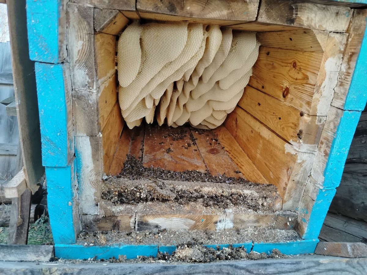 Фото 1. Вид колоды с открытой нижней крышкой