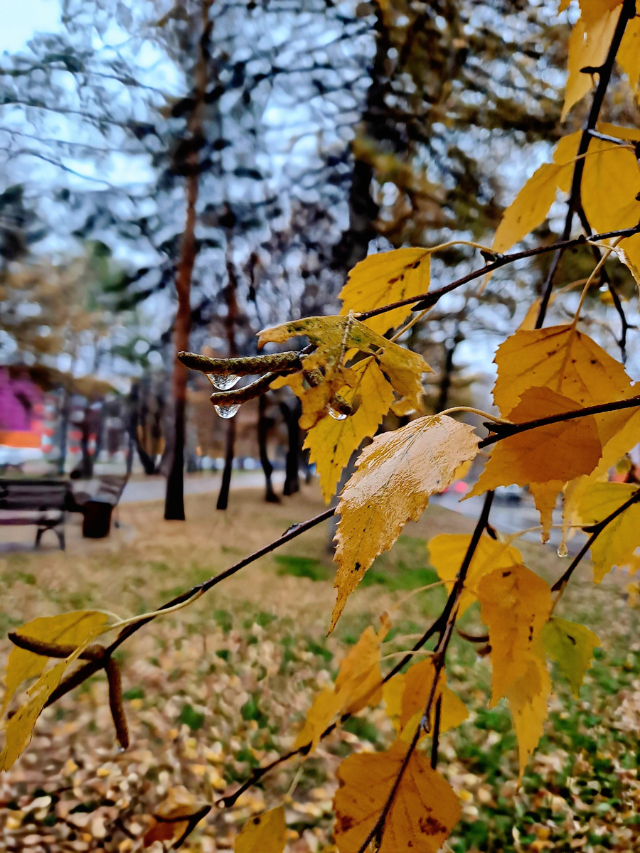 Фотография автора 