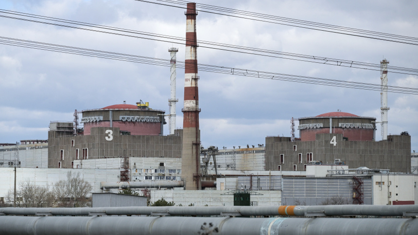    Фото: © РИА Новости/Константин Михальчевский