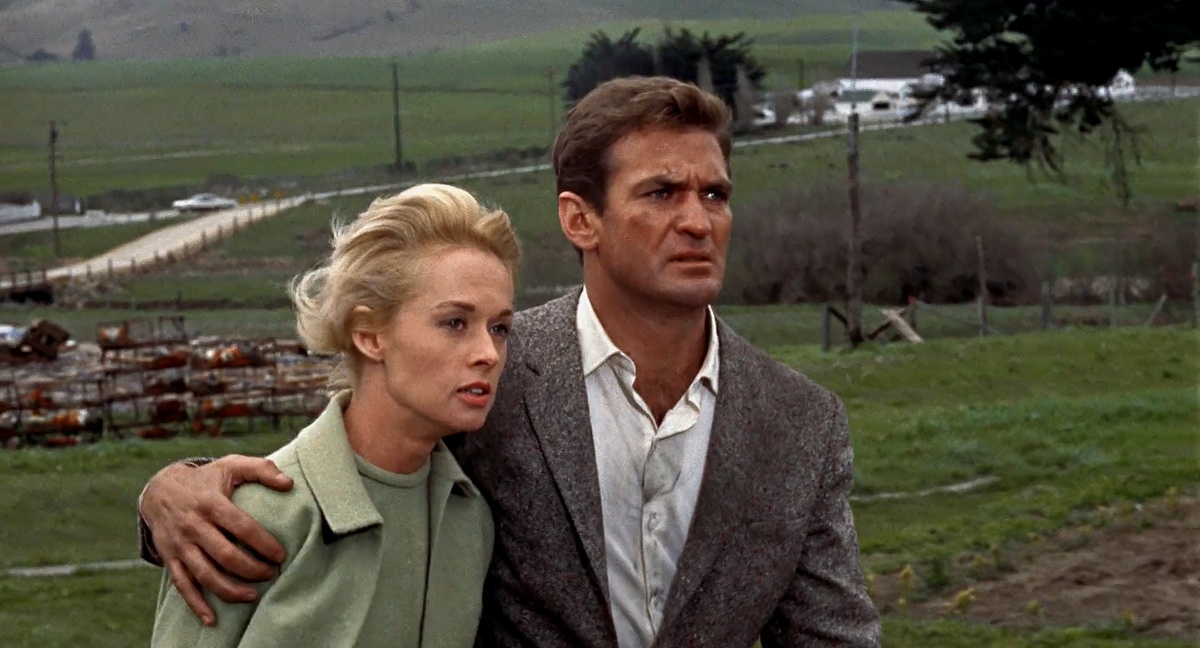 Кадр из фильма "Птицы" (1963)