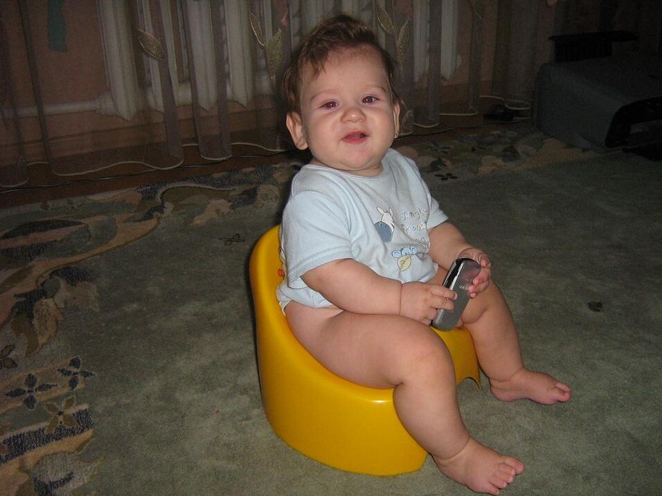 Фото из интернета. Зоя.