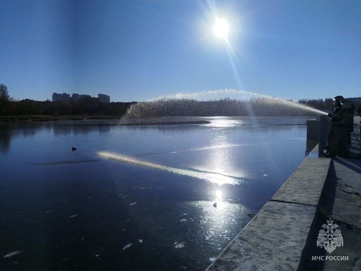    В Сургуте из ледового плена спасли не успевшую улететь утку