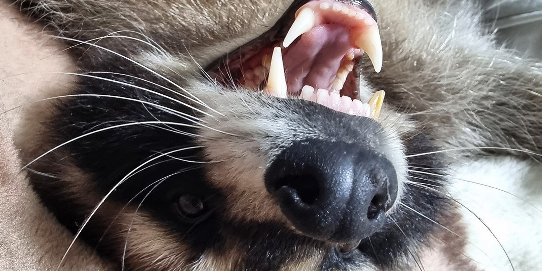 Вчера банный день был