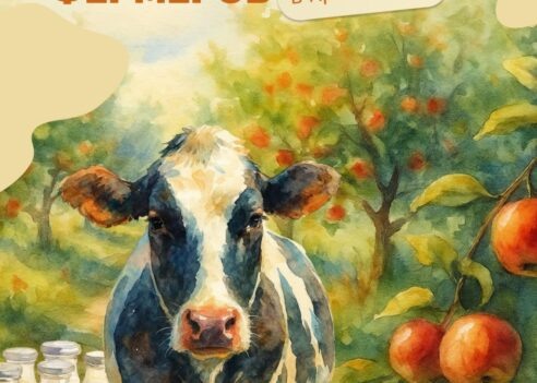 Фото: t.me/krdru📷
📷
📷
📷
📷
📷
📷
