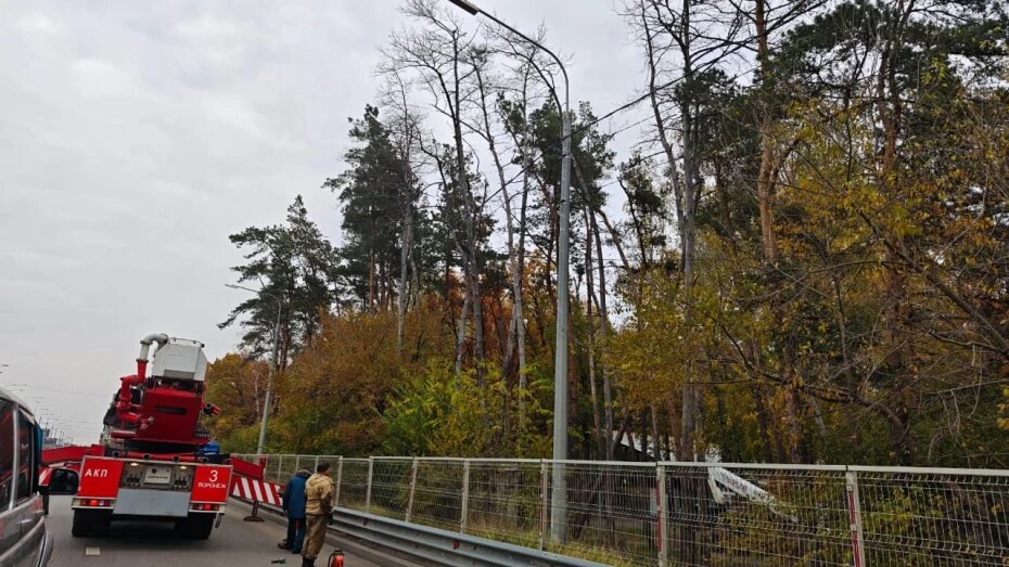    Автор фото: vk.com/ulh_vrn36