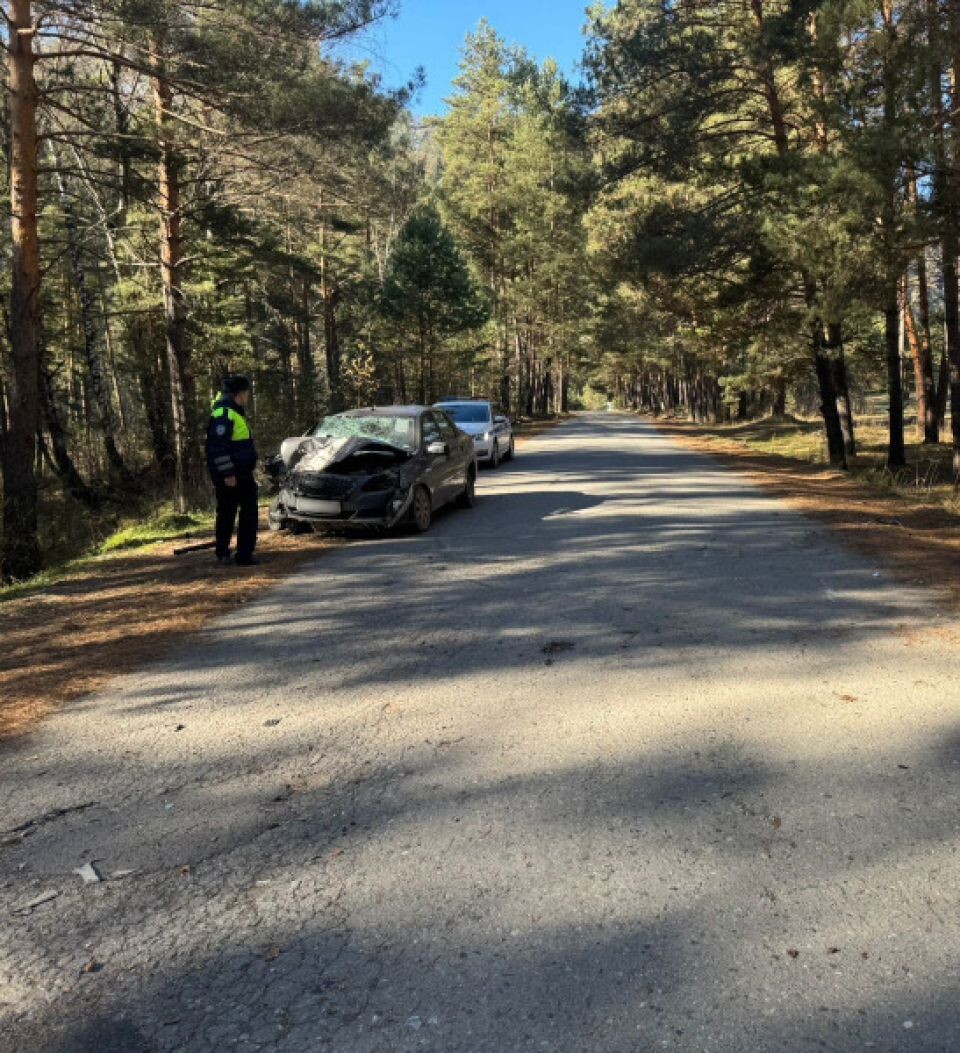    ДТП под Чемалом. Источник: Пресс-служба ГУ МВД России по Республике Алтай