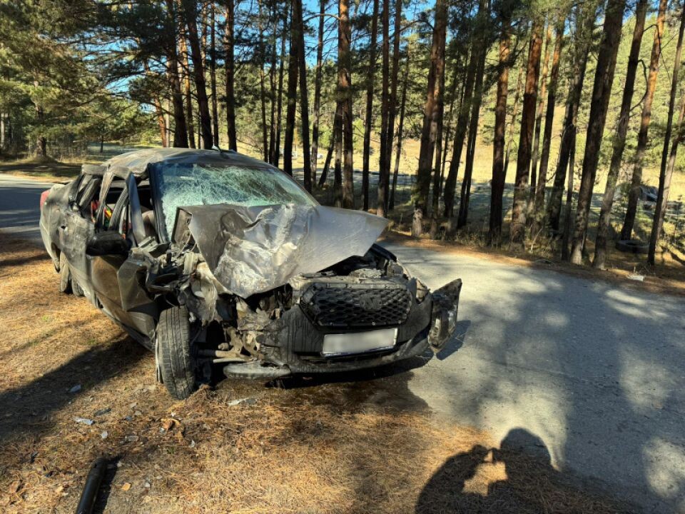    ДТП под Чемалом. Источник: Пресс-служба ГУ МВД России по Республике Алтай