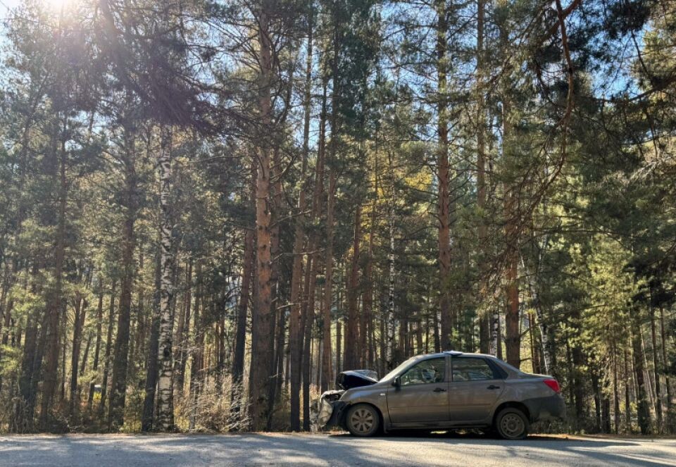    ДТП под Чемалом. Источник: Пресс-служба ГУ МВД России по Республике Алтай