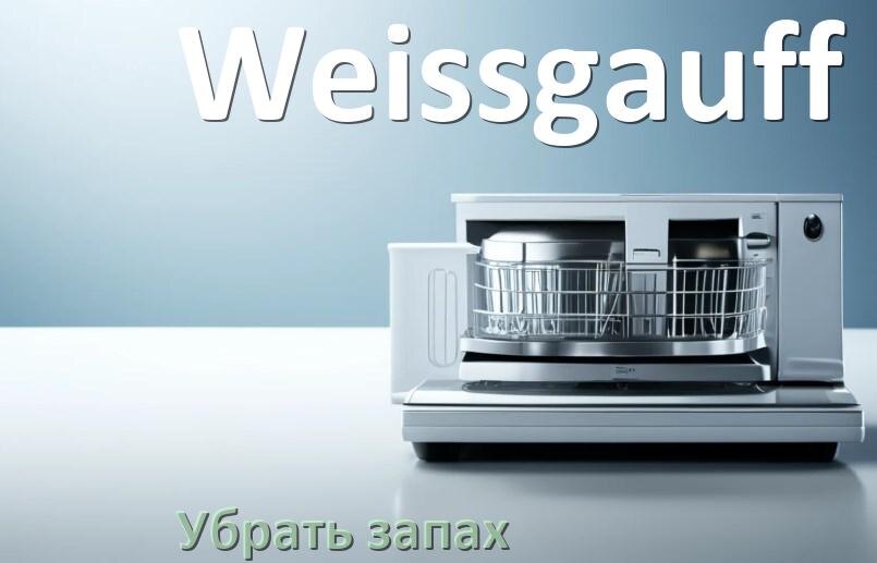 
Как убрать запах из посудомоечной машины Weissgauff избавиться в домашних условиях