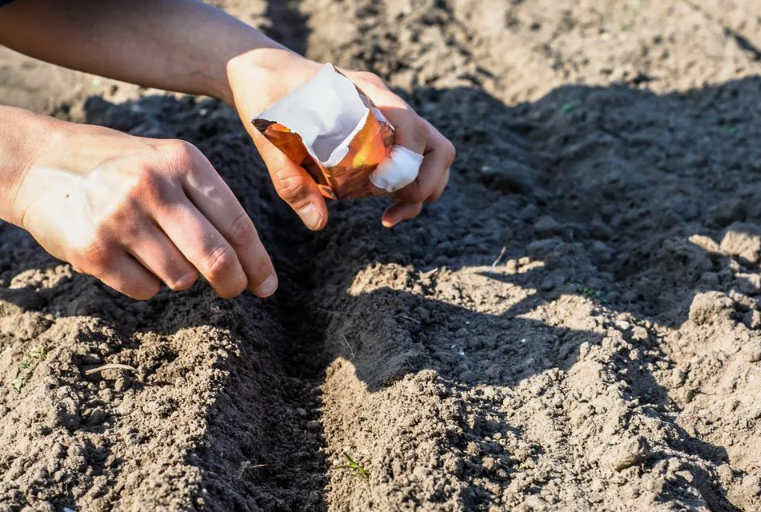 Если закроете грядку заранее, то снегом не забьет бороздки