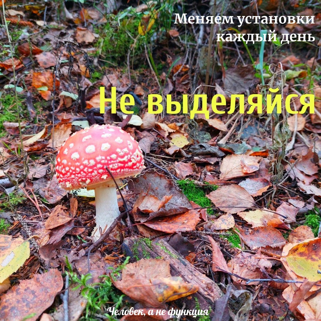 В следующую секунду сын пнул его так, что он разлетелся на 1000 кусочков :)