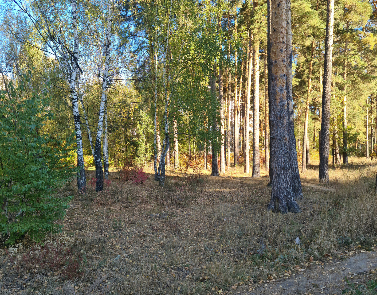 Миру ничего не светит и даже пусть прощается с путями и живет как бомж на дорогах, на земле, рядом с мусорками и на него будут все плюваться и кидаться и он станет страшным, некрасивым и безобразным. Мир будет порчен от и до