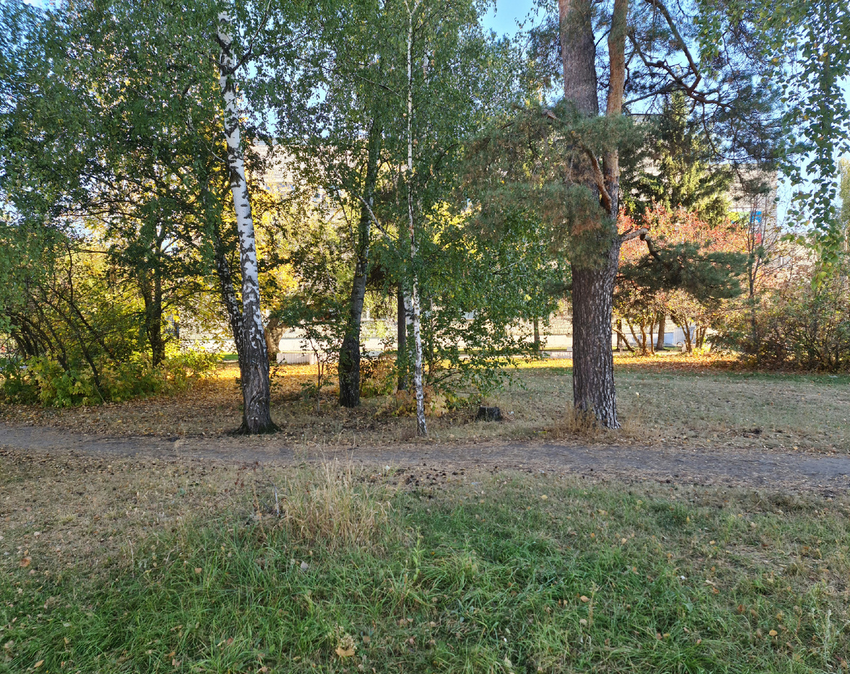 Мир загибается и от него отщипали, он живет без целей и без путей