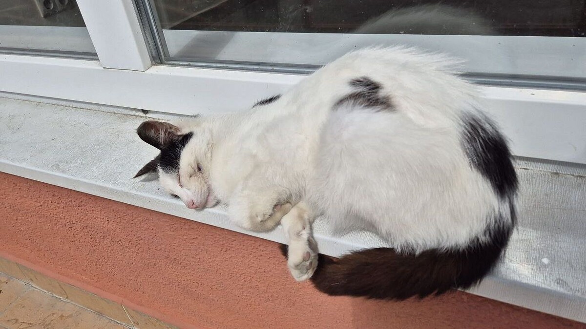    Фото: телеканал «Краснодар»