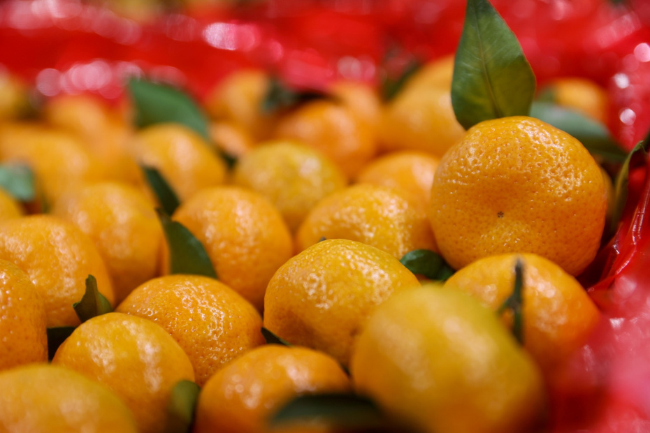    Сергей Булкин/NEWS.ru