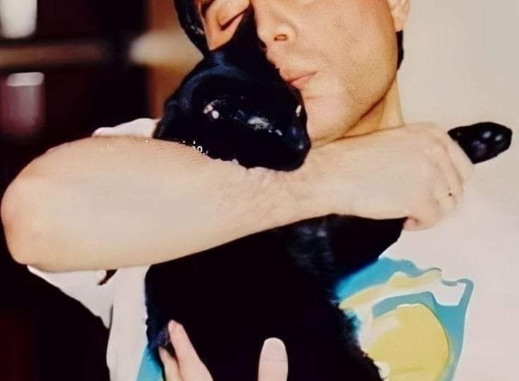 Когда Фредди Меркьюри был дома