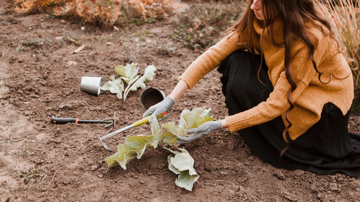 Фото: ru.freepik.com